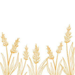 金色麦穗矢量麦穗元素美食海报PNG素材